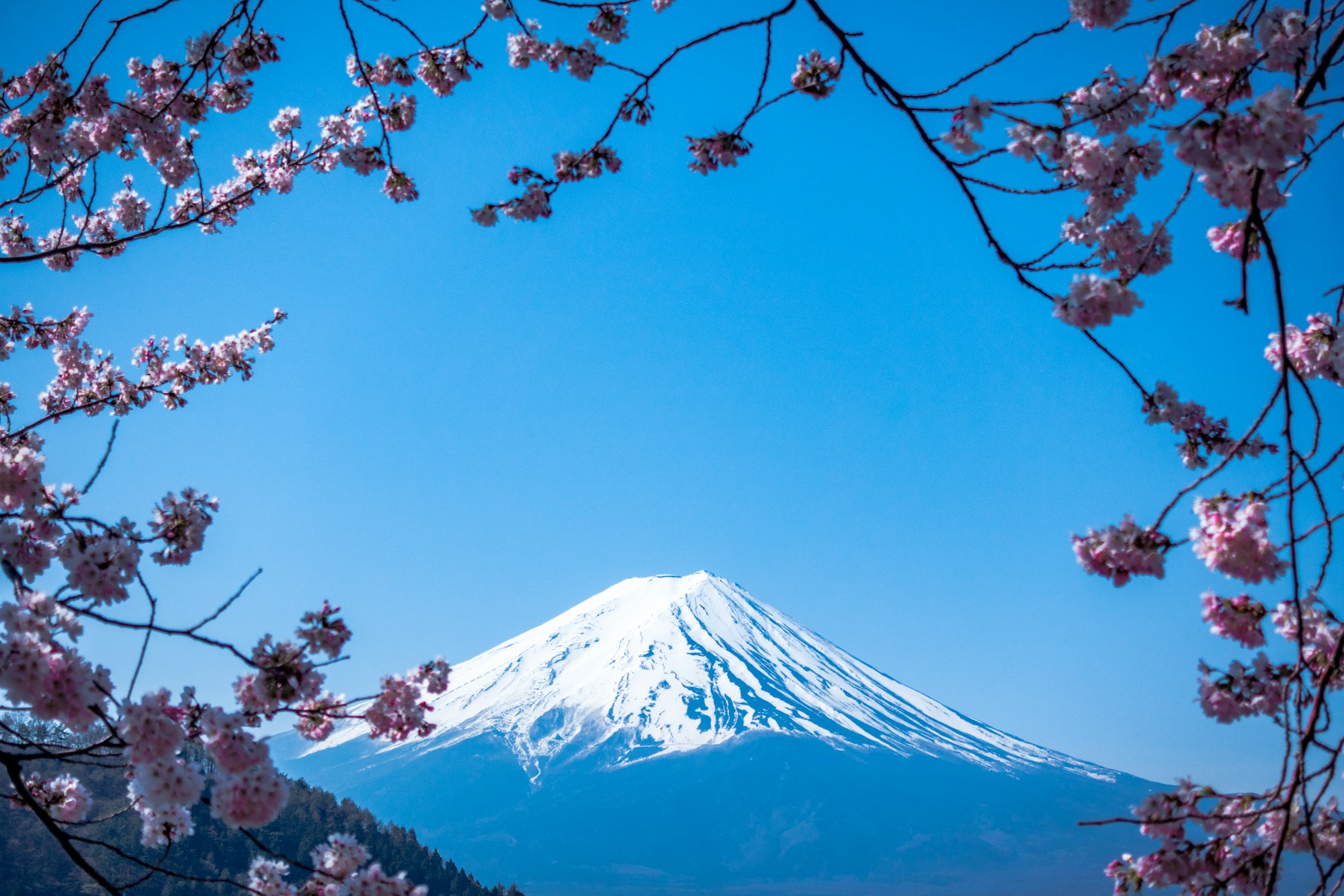 富士山